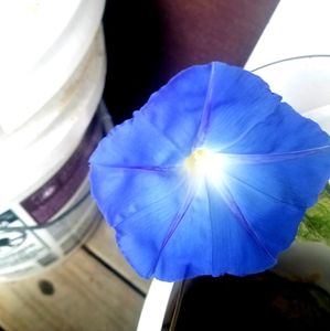 Meet your Posher, Marilea